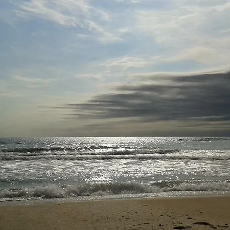 флора - гр.приморско ммц 公寓