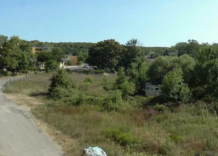 флора - гр.приморско ммц Apartment *